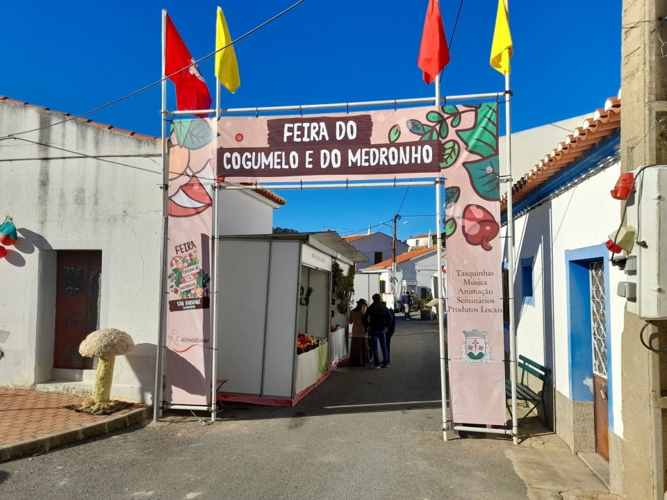 Feira Do Cogumelo E Do Medronho Est De Regresso A S O Barnab O Atual